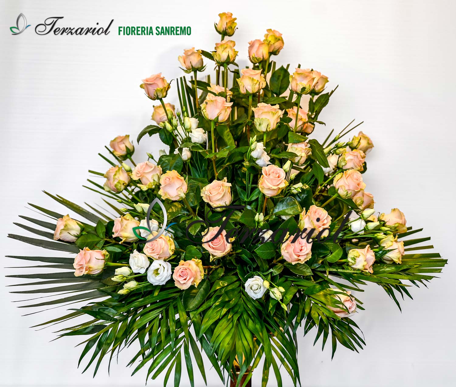 Fioreria-Sanremo-Terzariol-San-Polo-di-Piave-Treviso-0837