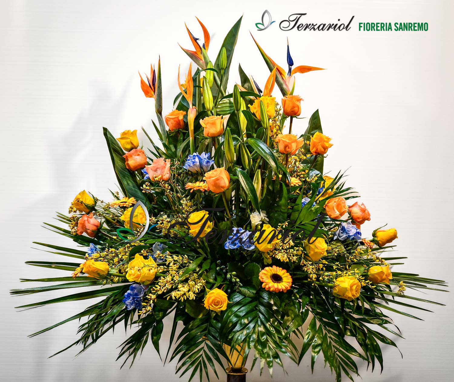 Fioreria-Sanremo-Terzariol-San-Polo-di-Piave-Treviso-0844